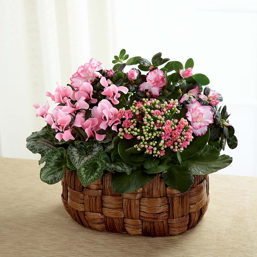 Pink Assortment – Flowerama #186, Oklahoma City OK