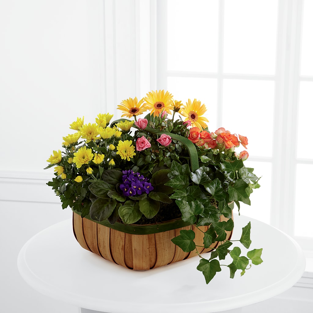 Gentle Blossoms Basket – Flowerama #186, Oklahoma City OK