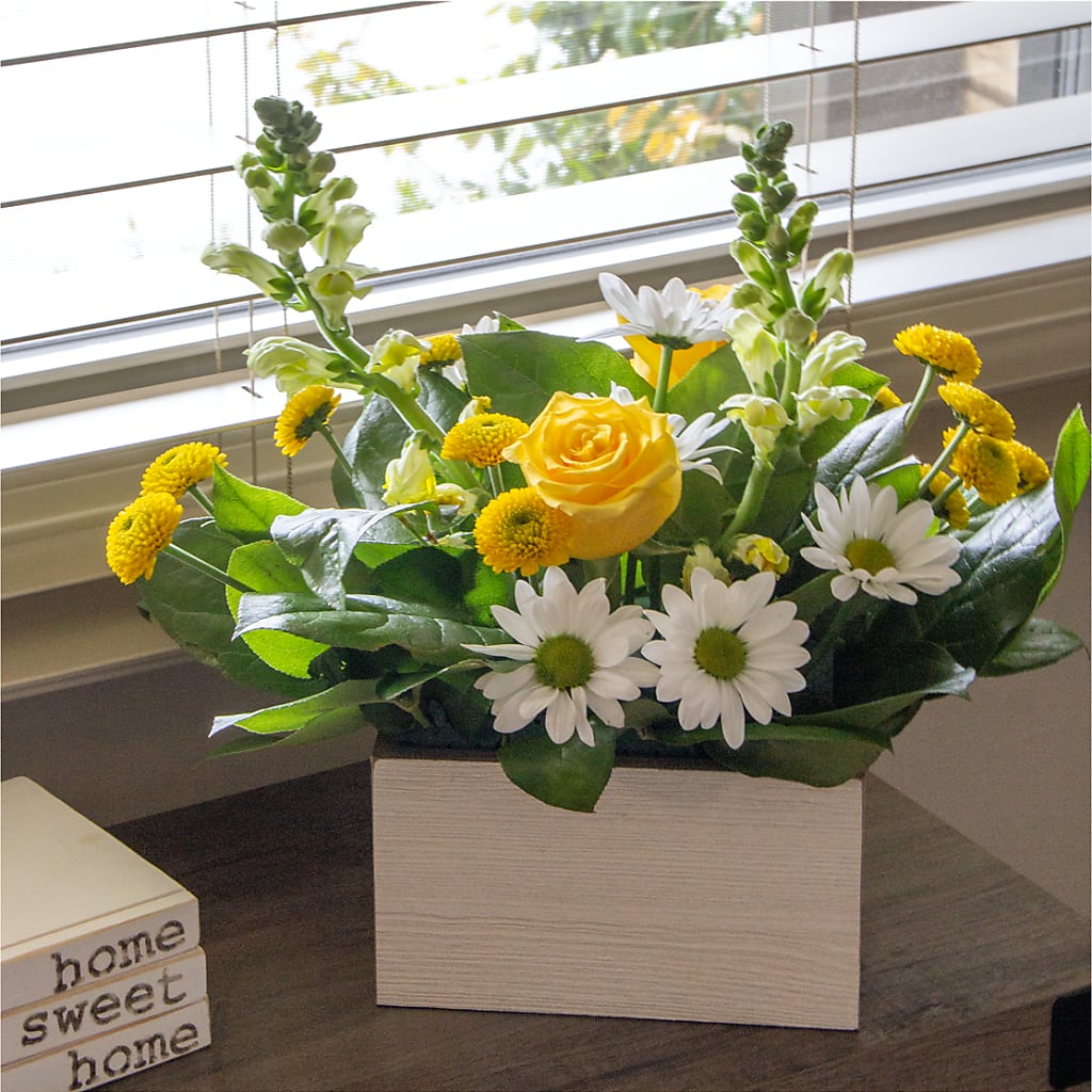 Sun Salutation Box Bouquet – Flowerama #186, Oklahoma City OK