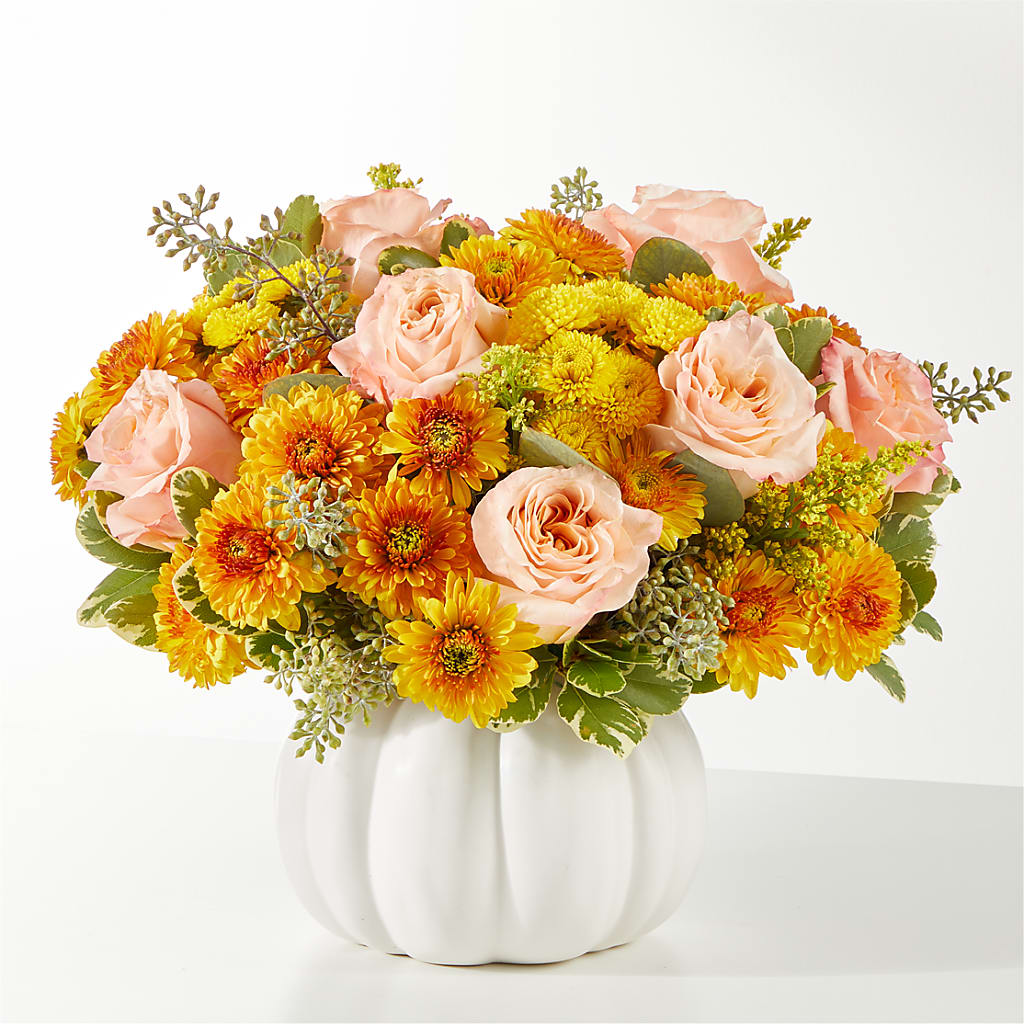 Peachy Pumpkin – Flowerama #186, Oklahoma City OK