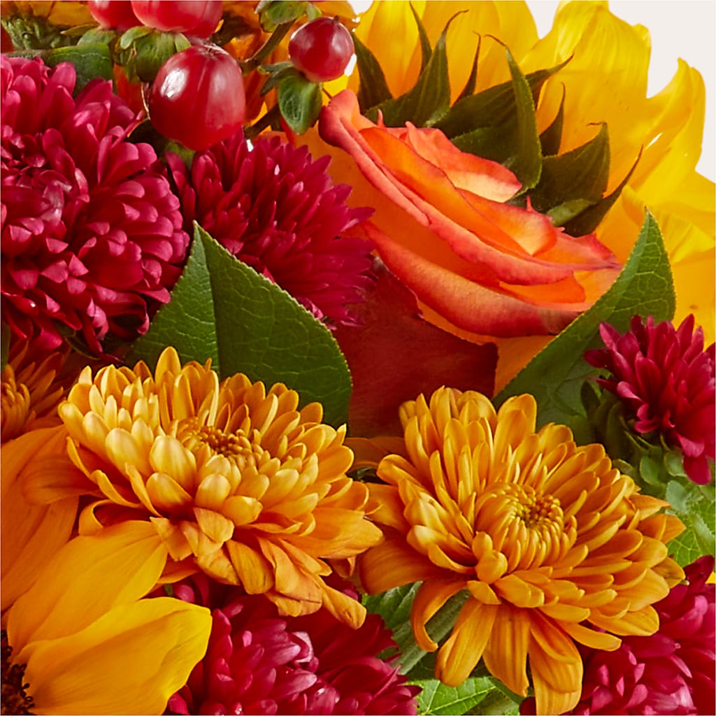 Sweater Season - A Florist Original – Flowerama #186, Oklahoma City OK