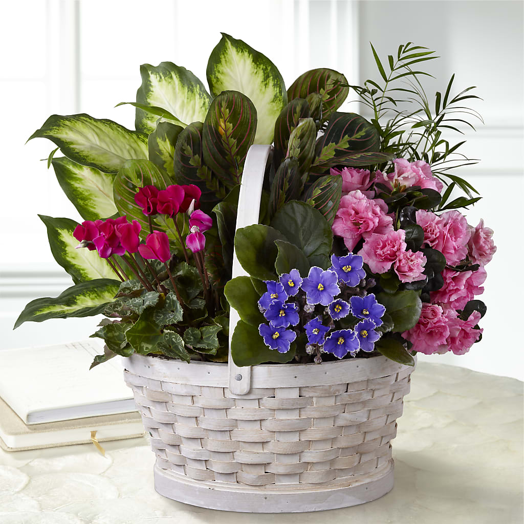 Peaceful Garden Planter – Flowerama #186, Oklahoma City OK