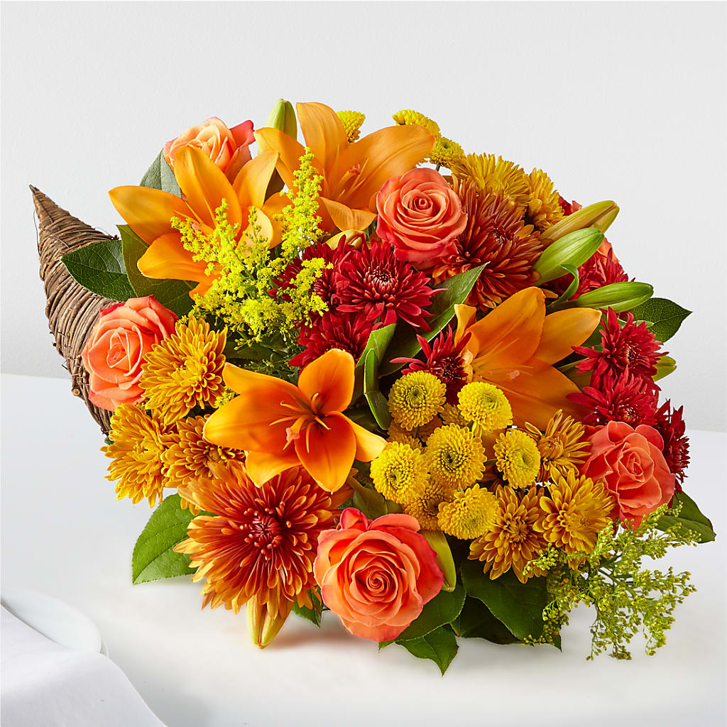 Feast of Color Cornucopia – Flowerama #186, Oklahoma City OK