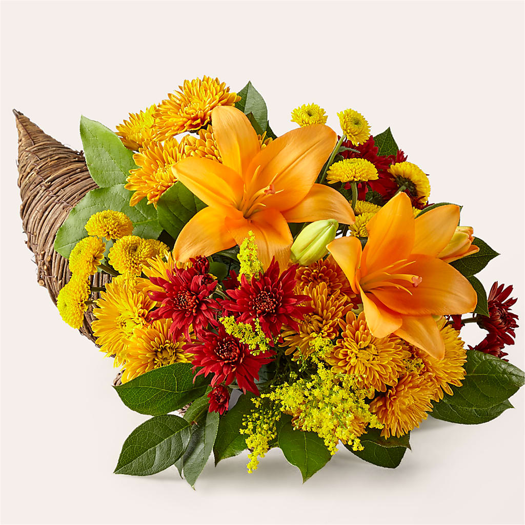 Feast of Color Cornucopia – Flowerama #186, Oklahoma City OK