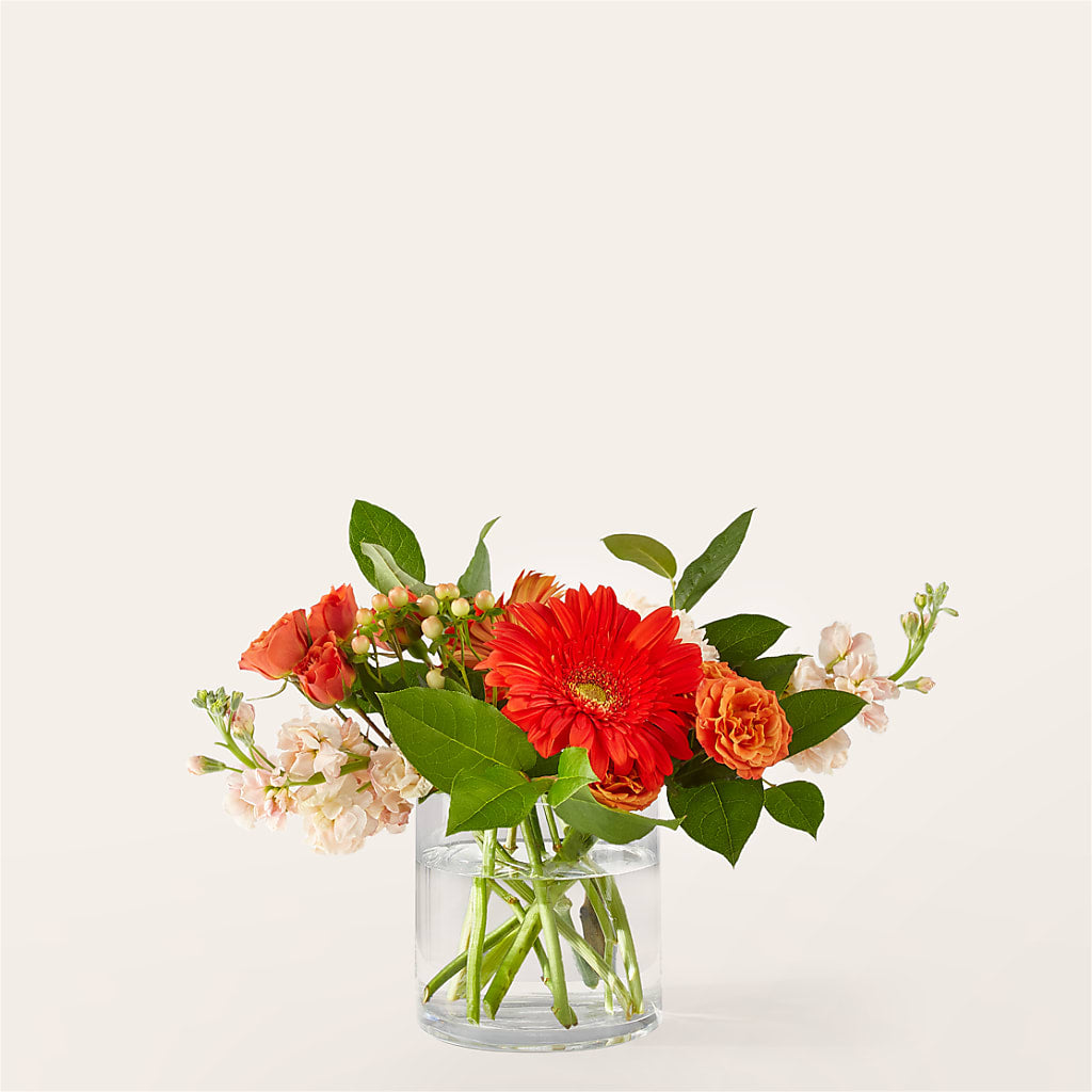 Paloma Please Bouquet – Flowerama #186, Oklahoma City OK