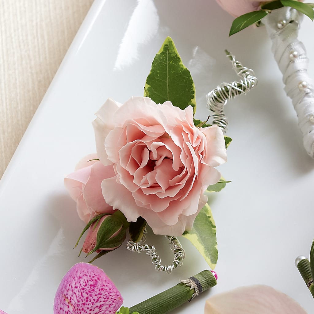 Pink Spray Rose Boutonniere – Flowerama #186, Oklahoma City OK