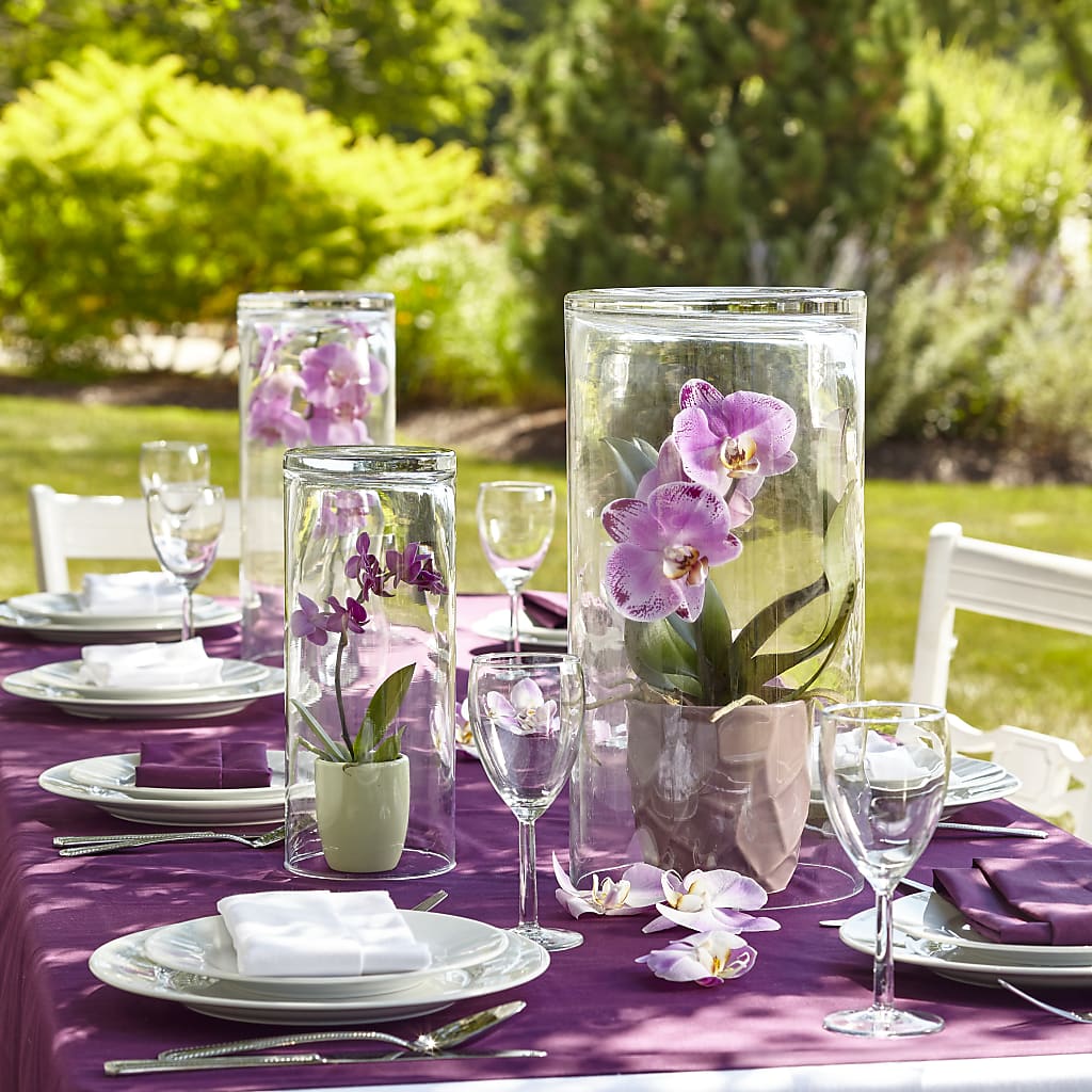 Dramatic Garden Centerpiece – Flowerama #186, Oklahoma City OK