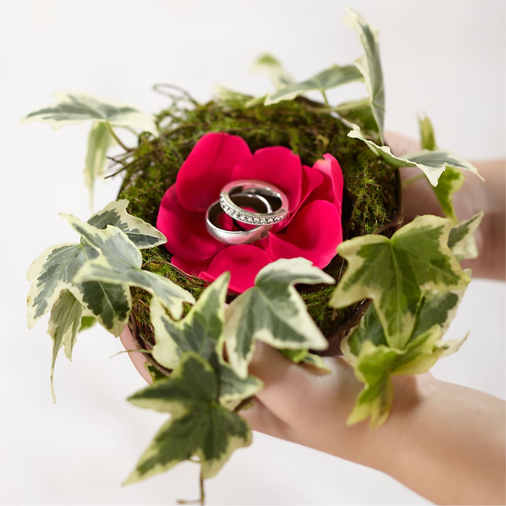 Lila Rose Ring Nest – Flowerama #186, Oklahoma City OK