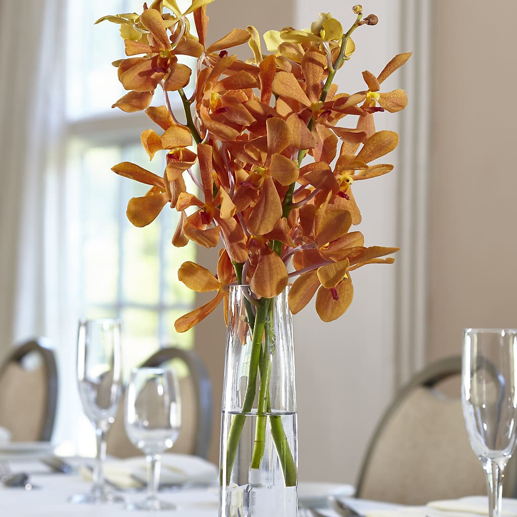 Orange Mokara Bud Vase – Flowerama #186, Oklahoma City OK