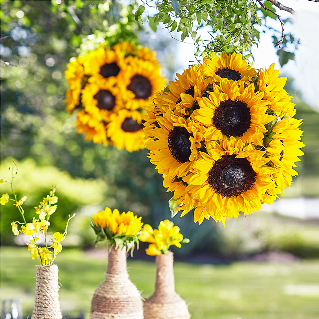 Sublime Garden Hanging Arrangement – Flowerama #186, Oklahoma City OK