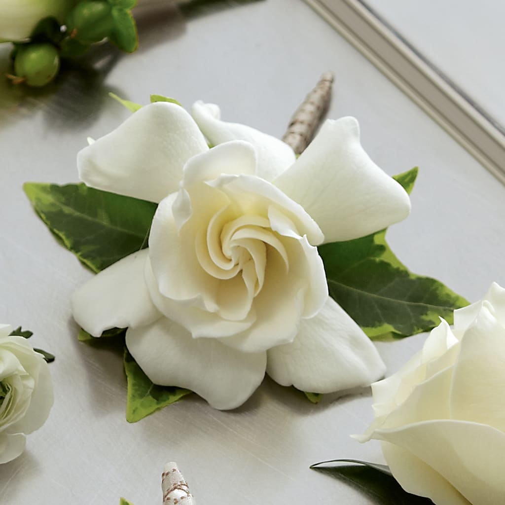 Gardenia Boutonniere – Flowerama #186, Oklahoma City OK