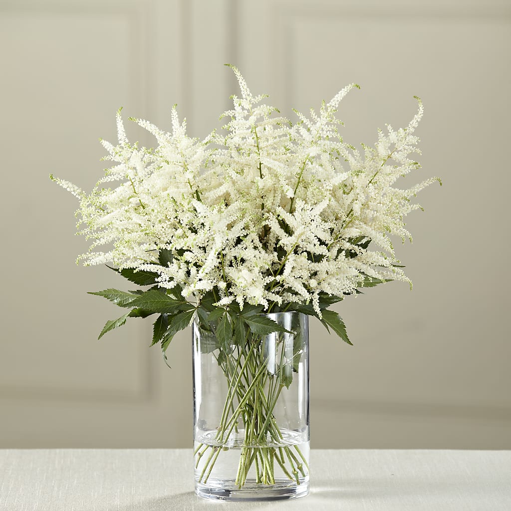 White Astilbe Bouquet – Flowerama #186, Oklahoma City OK