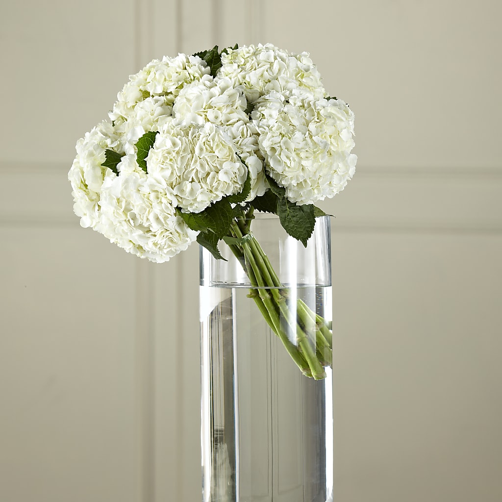 White Hydrangea Hand-Tied Bouquet – Flowerama #186, Oklahoma City OK