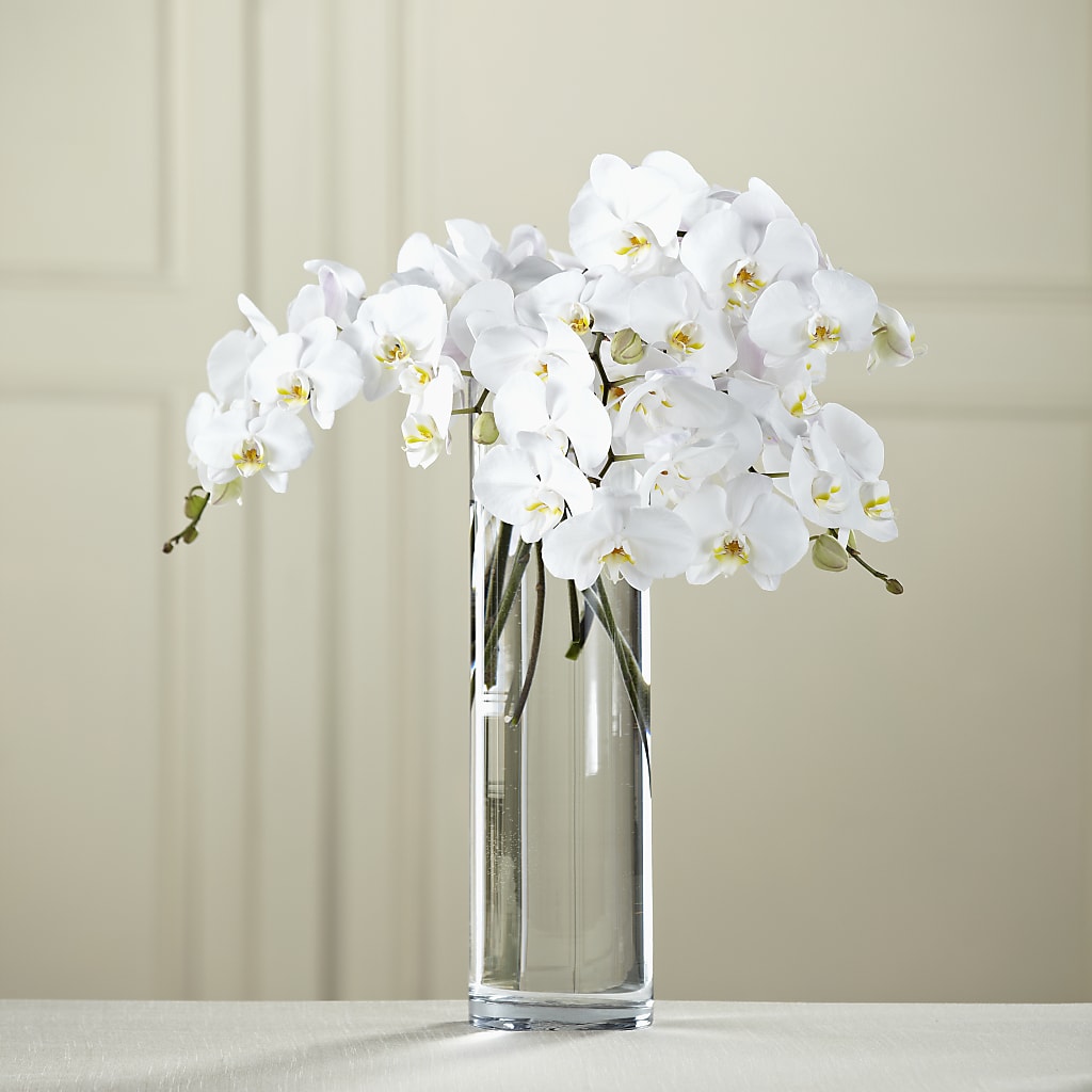 White Phalaenopsis Bouquet – Flowerama #186, Oklahoma City OK
