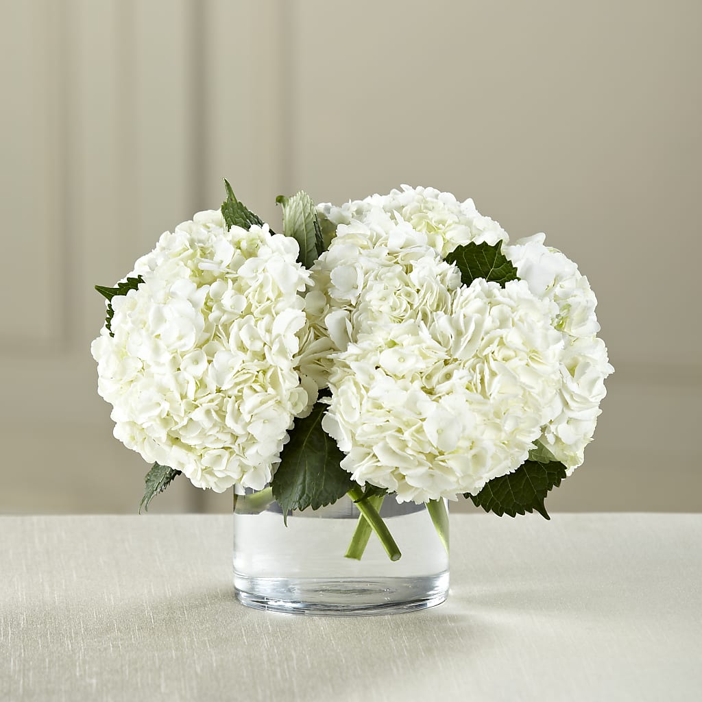 White Hydrangea Bouquet – Flowerama #186, Oklahoma City OK