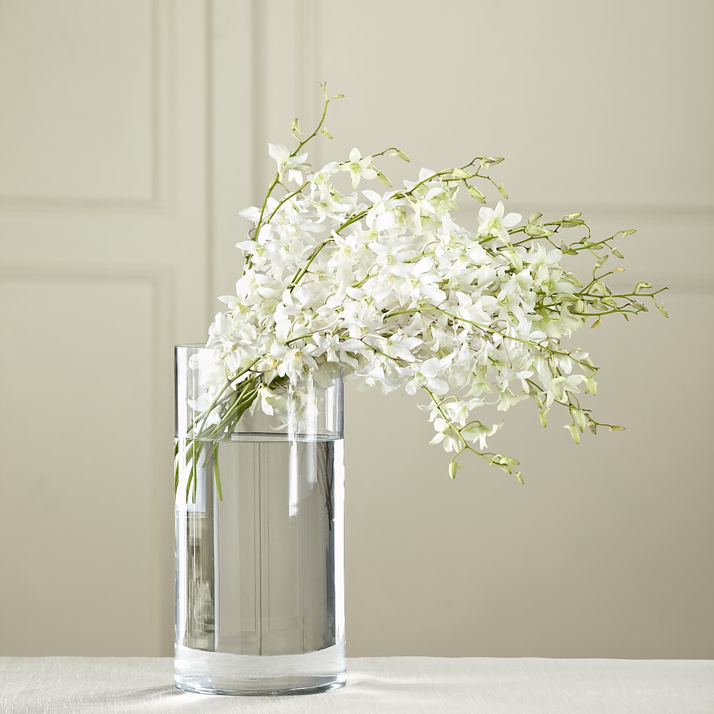 White Dendrobium Bouquet – Flowerama #186, Oklahoma City OK