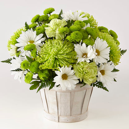 Lucky Charm Basket (Standard) –  Flowerama #186, Oklahoma City OK