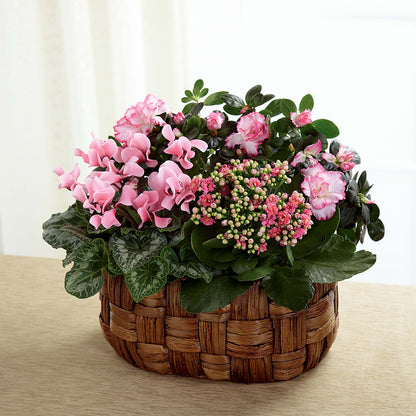 Pink Assortment –  Flowerama #186, Oklahoma City OK