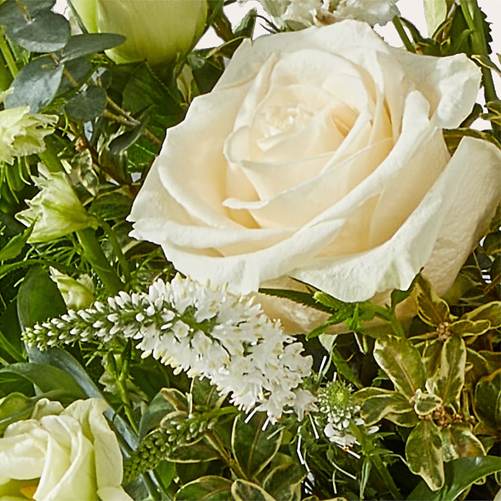 Cashmere Bouquet –  Flowerama #186, Oklahoma City OK