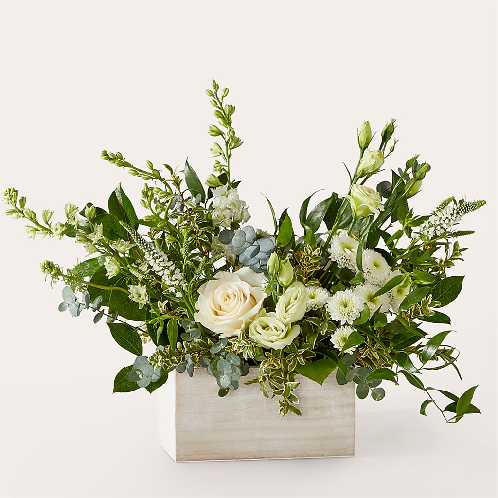 Cashmere Bouquet –  Flowerama #186, Oklahoma City OK