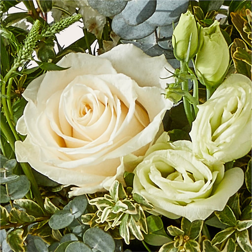 Cashmere Bouquet –  Flowerama #186, Oklahoma City OK