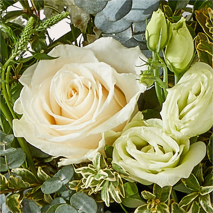 Cashmere Bouquet –  Flowerama #186, Oklahoma City OK
