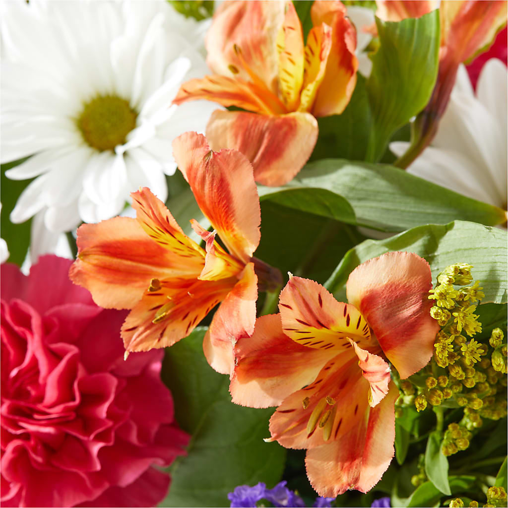 Oopsie Daisy Box Bouquet –  Flowerama #186, Oklahoma City OK