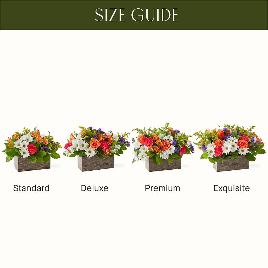 Oopsie Daisy Box Bouquet –  Flowerama #186, Oklahoma City OK