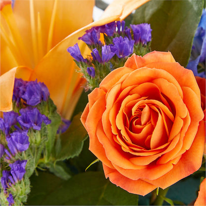 Radiant Citrus Box Bouquet –  Flowerama #186, Oklahoma City OK