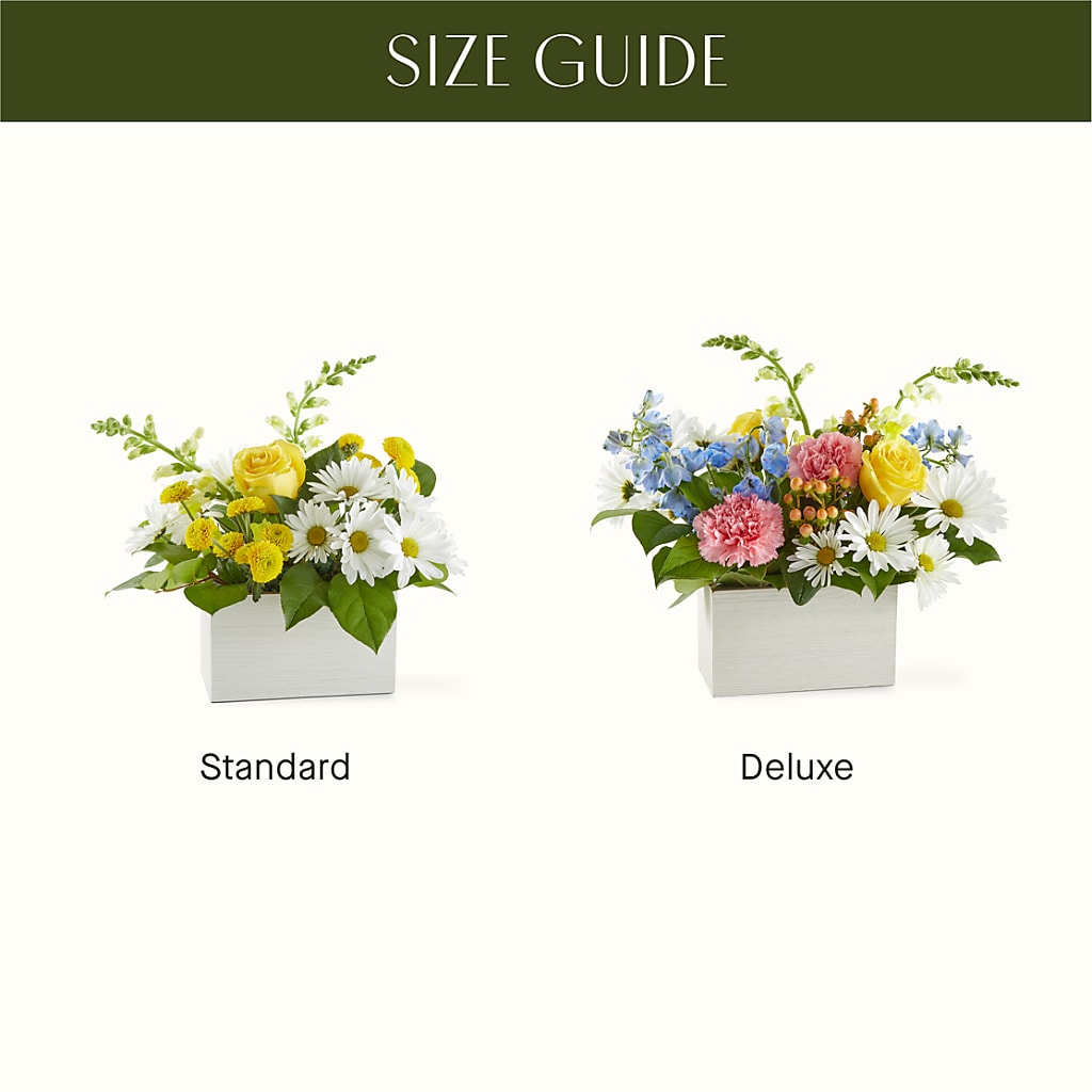 Sun Salutation Box Bouquet –  Flowerama #186, Oklahoma City OK
