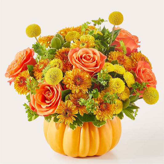 Gourdgeous Pumpkin –  Flowerama #186, Oklahoma City OK