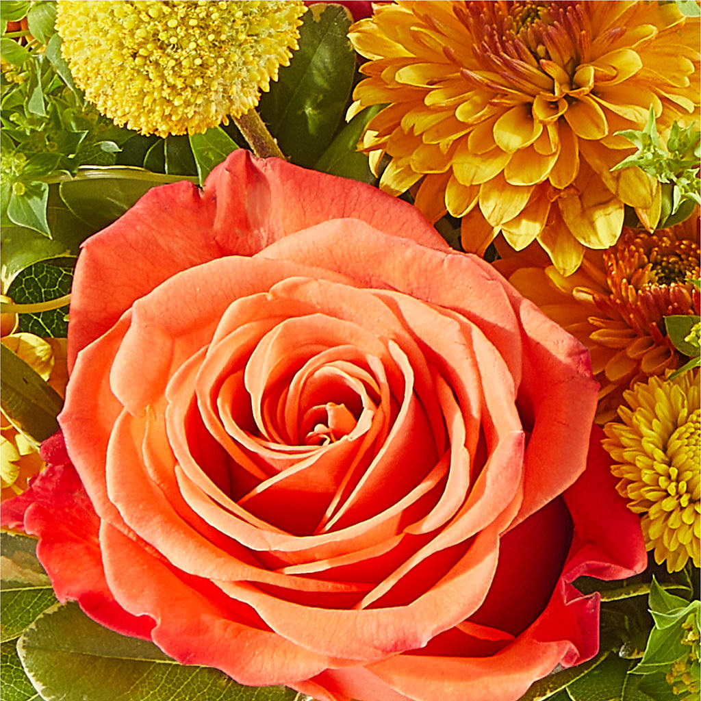 Gourdgeous Pumpkin –  Flowerama #186, Oklahoma City OK