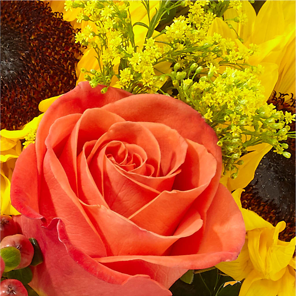 Pick of the Patch Pumpkin Bouquet –  Flowerama #186, Oklahoma City OK