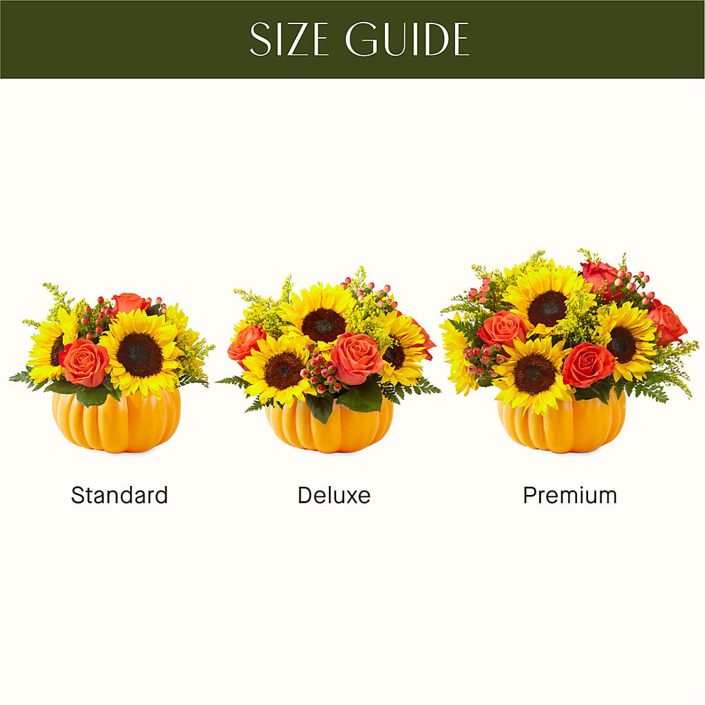 Pick of the Patch Pumpkin Bouquet –  Flowerama #186, Oklahoma City OK