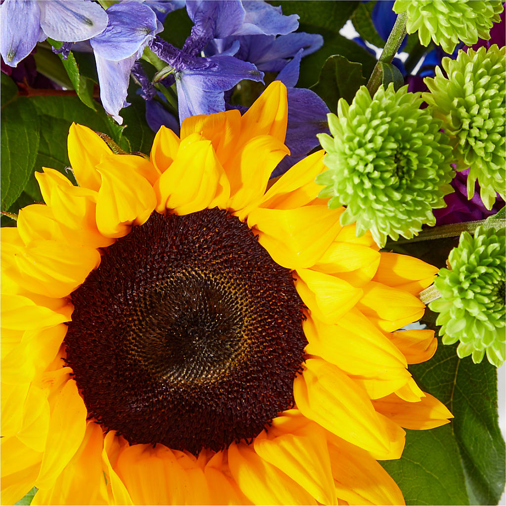 Catching Rays Bouquet –  Flowerama #186, Oklahoma City OK