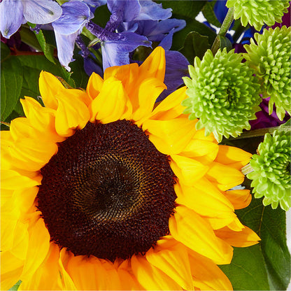 Catching Rays Bouquet –  Flowerama #186, Oklahoma City OK