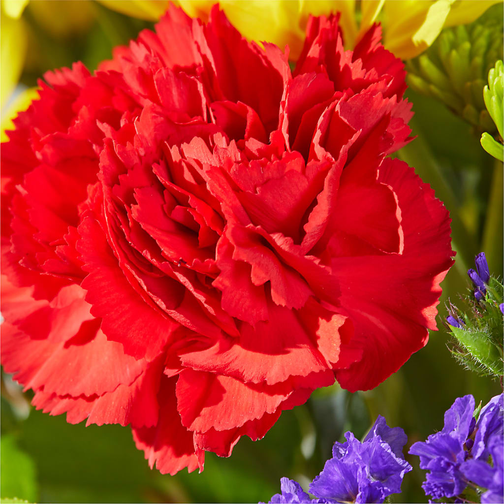Brighter Days Bouquet –  Flowerama #186, Oklahoma City OK