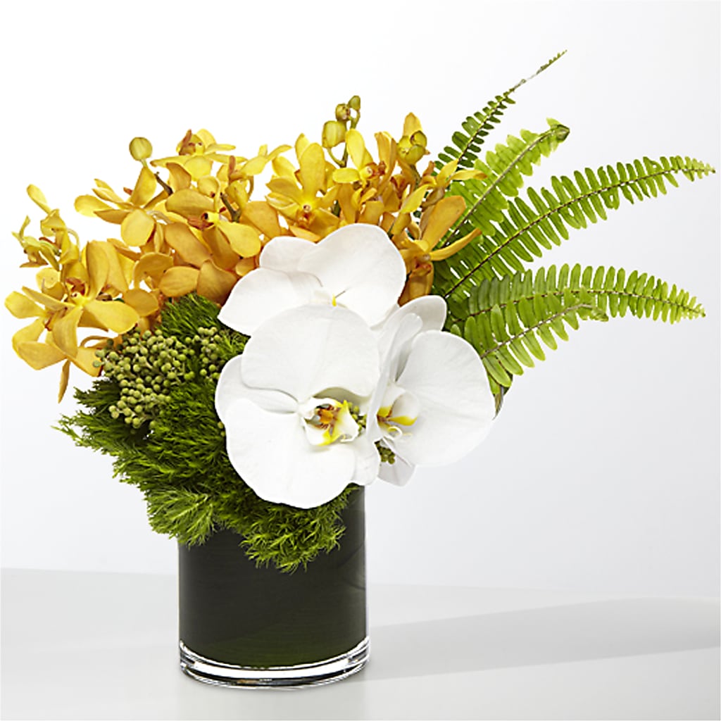 The Tropics –  Flowerama #186, Oklahoma City OK