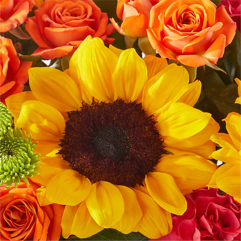 Sun-drenched Blooms Box Bouquet –  Flowerama #186, Oklahoma City OK