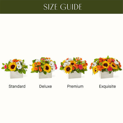 Sun-drenched Blooms Box Bouquet –  Flowerama #186, Oklahoma City OK
