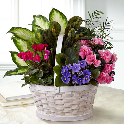Peaceful Garden Planter –  Flowerama #186, Oklahoma City OK