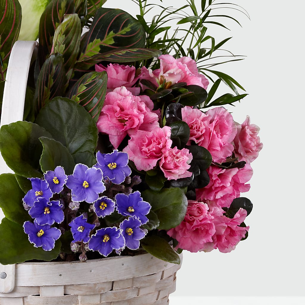 Peaceful Garden Planter –  Flowerama #186, Oklahoma City OK