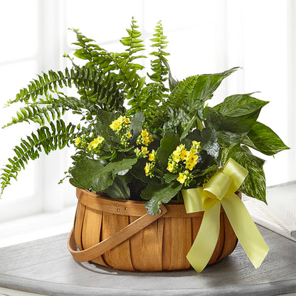Always Dear Dishgarden –  Flowerama #186, Oklahoma City OK