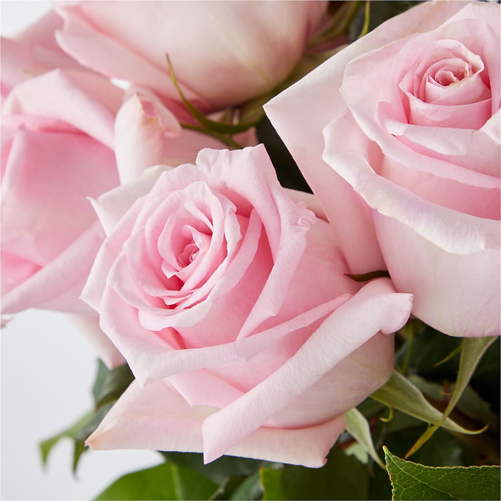 Picture Perfect Pink Rose Bouquet –  Flowerama #186, Oklahoma City OK