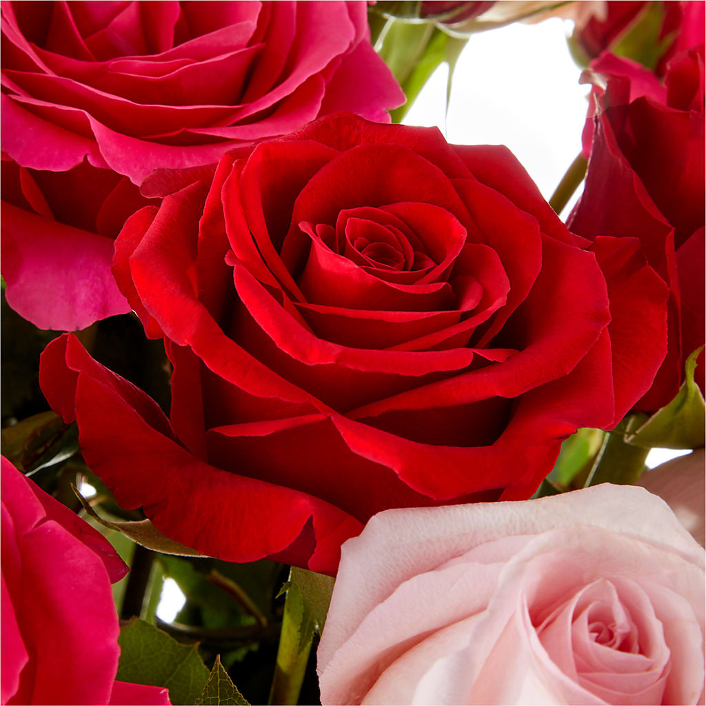 Love Notes Rose Bouquet –  Flowerama #186, Oklahoma City OK