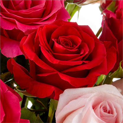 Love Notes Rose Bouquet –  Flowerama #186, Oklahoma City OK