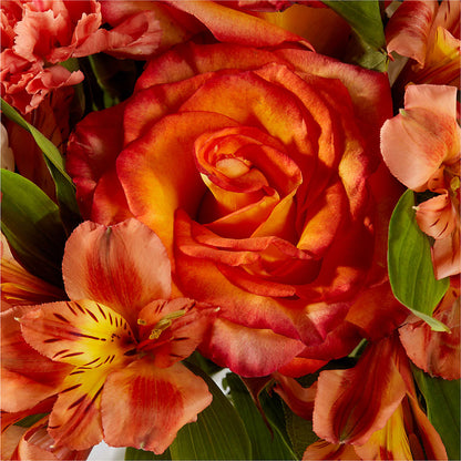 Apricot Glow Bouquet –  Flowerama #186, Oklahoma City OK