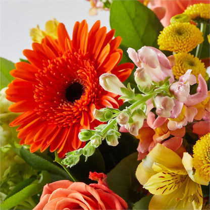 Autumn Sunshine Bouquet –  Flowerama #186, Oklahoma City OK