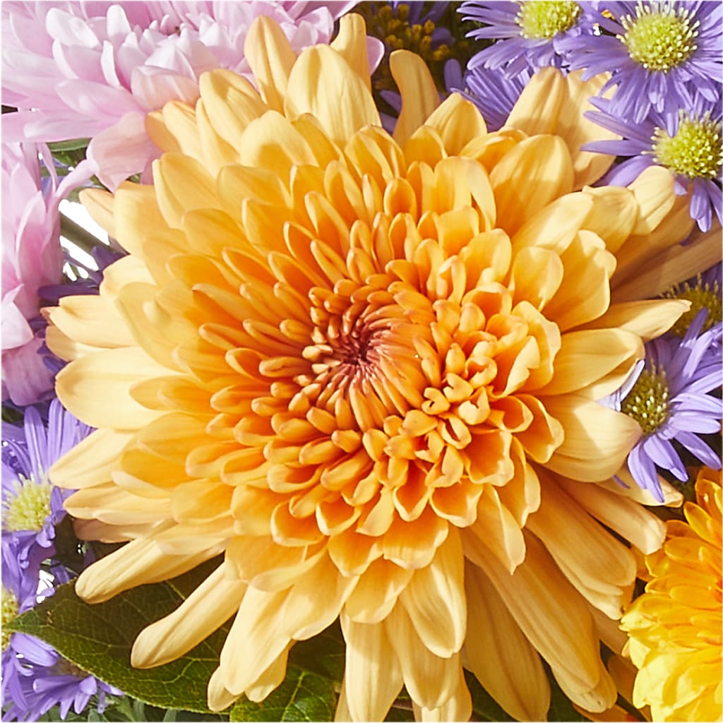 Countryside Bouquet –  Flowerama #186, Oklahoma City OK