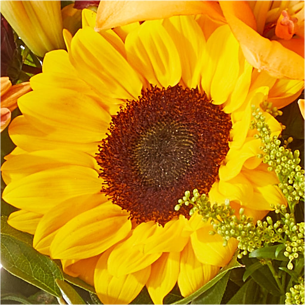 Seasons Change Bouquet –  Flowerama #186, Oklahoma City OK